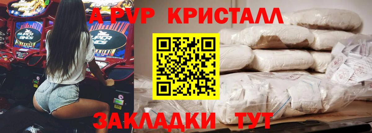 APVP СК КРИС Хасавюрт