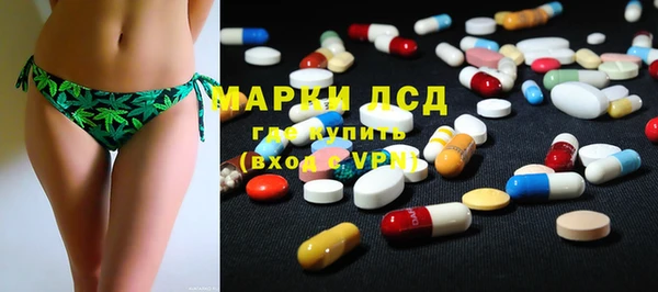 ПСИЛОЦИБИНОВЫЕ ГРИБЫ Няндома
