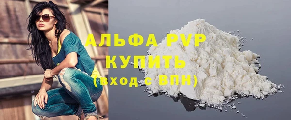 ПСИЛОЦИБИНОВЫЕ ГРИБЫ Няндома