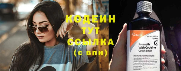 ПСИЛОЦИБИНОВЫЕ ГРИБЫ Няндома
