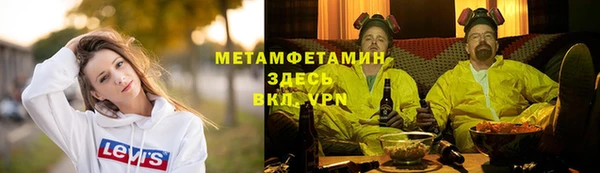 ПСИЛОЦИБИНОВЫЕ ГРИБЫ Няндома