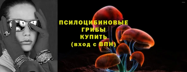 молекула духа Абинск