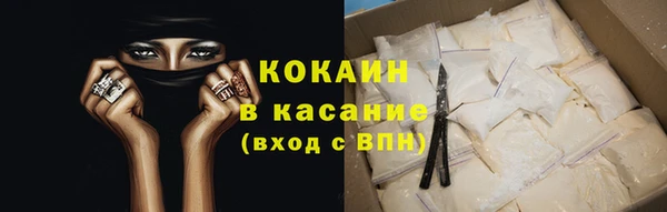 гидра Абаза