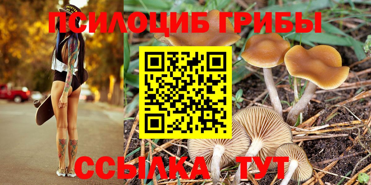 Галлюциногенные грибы мицелий  Псилоцибиновые грибы Psilocybine cubensis  Хасавюрт  Вход с VPN 