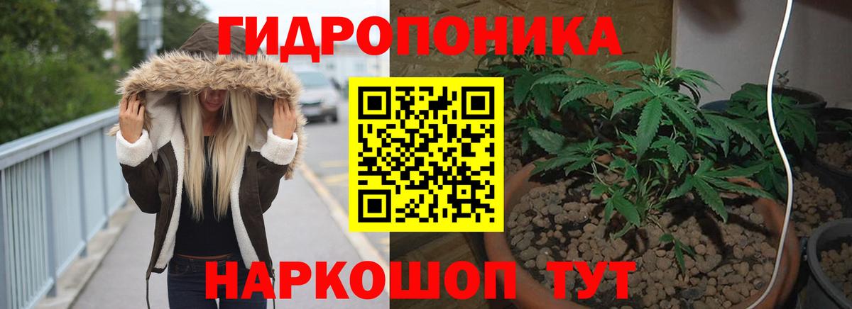 Хасавюрт  Марихуана VHQ  МАРИХУАНА планчик  Вход с VPN 