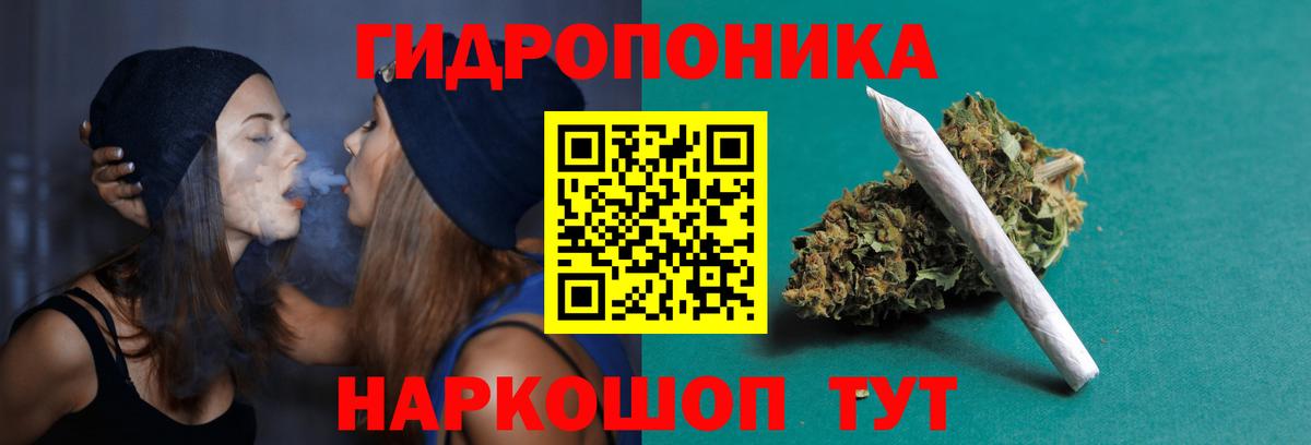 Канабис OG Kush Хасавюрт